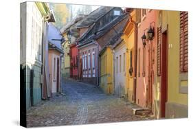 Transylvania, Romania, Mures County, Sighisoara, cobblestone residential streets.-Emily Wilson-Stretched Canvas