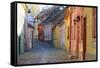 Transylvania, Romania, Mures County, Sighisoara, cobblestone residential streets.-Emily Wilson-Framed Stretched Canvas