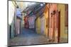 Transylvania, Romania, Mures County, Sighisoara, cobblestone residential streets.-Emily Wilson-Mounted Photographic Print