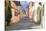 Transylvania, Romania, Mures County, Sighisoara, cobblestone street.-Emily Wilson-Stretched Canvas