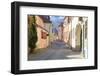 Transylvania, Romania, Mures County, Sighisoara, cobblestone street.-Emily Wilson-Framed Photographic Print