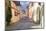 Transylvania, Romania, Mures County, Sighisoara, cobblestone street.-Emily Wilson-Mounted Photographic Print