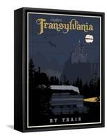 Transylvania Travel-Steve Thomas-Framed Stretched Canvas
