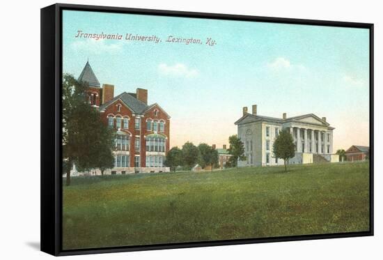 Transylvania University, Lexington, Kentucky-null-Framed Stretched Canvas