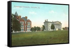 Transylvania University, Lexington, Kentucky-null-Framed Stretched Canvas