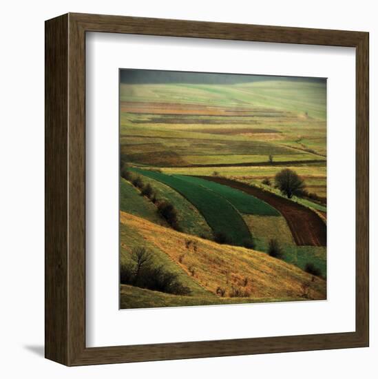 Transylvania-Crina Prida-Framed Art Print