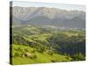 Transylvanian Alps, Near Fundata, Transylvania, Romania, Europe-Gary Cook-Stretched Canvas