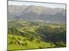 Transylvanian Alps, Near Fundata, Transylvania, Romania, Europe-Gary Cook-Mounted Photographic Print