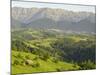 Transylvanian Alps, Near Fundata, Transylvania, Romania, Europe-Gary Cook-Mounted Photographic Print