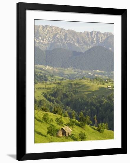 Transylvanian Alps, Near Fundata, Transylvania, Romania, Europe-Gary Cook-Framed Photographic Print
