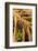 Trap-jaw ant portrait, Wayqecha, Peru-Emanuele Biggi-Framed Photographic Print