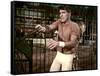 Trapeze by CarolReed with Burt Lancaster, 1956 (photo)-null-Framed Stretched Canvas