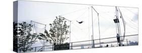 Trapeze School New York, Hudson River Park, New York City, New York State, USA-null-Stretched Canvas