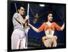 Trapeze-null-Framed Photo