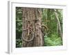 Trapped in Time-Ethan Welty-Framed Photographic Print