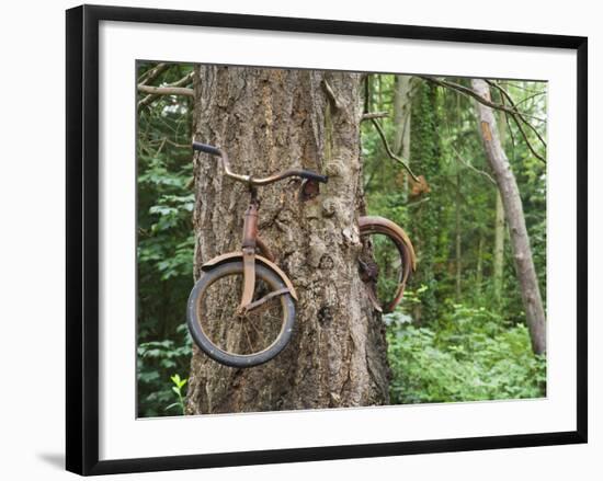 Trapped in Time-Ethan Welty-Framed Photographic Print