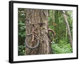 Trapped in Time-Ethan Welty-Framed Photographic Print