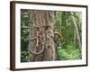 Trapped in Time-Ethan Welty-Framed Photographic Print