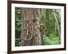 Trapped in Time-Ethan Welty-Framed Photographic Print