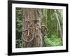 Trapped in Time-Ethan Welty-Framed Photographic Print