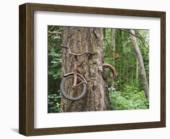 Trapped in Time-Ethan Welty-Framed Photographic Print