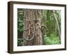 Trapped in Time-Ethan Welty-Framed Photographic Print