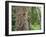 Trapped in Time-Ethan Welty-Framed Photographic Print