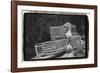 Trapped-Laura Denardo-Framed Photographic Print