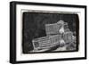 Trapped-Laura Denardo-Framed Photographic Print