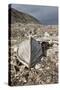 Trappers Hut, Svalbard, Norway-Paul Souders-Stretched Canvas