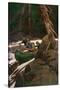 Trappers Running Rapids on a Wilderness River, circa 1900-null-Stretched Canvas