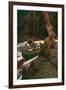 Trappers Running Rapids on a Wilderness River, circa 1900-null-Framed Giclee Print