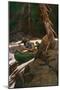 Trappers Running Rapids on a Wilderness River, circa 1900-null-Mounted Giclee Print