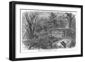 Trapping Wild Turkeys, 1868-Alfred A. Maud-Framed Giclee Print