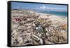 Trash-Covered Beach in Aruba-Paul Souders-Framed Stretched Canvas