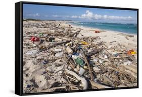 Trash-Covered Beach in Aruba-Paul Souders-Framed Stretched Canvas