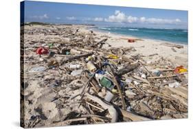 Trash-Covered Beach in Aruba-Paul Souders-Stretched Canvas