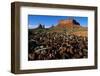 Trash Dump and Sandstone Buttes-Paul Souders-Framed Photographic Print