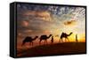 Travel Background - Two Cameleers (Camel Drivers) with Camels Silhouettes in Dunes of Desert on Sun-DR Travel Photo and Video-Framed Stretched Canvas