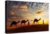 Travel Background - Two Cameleers (Camel Drivers) with Camels Silhouettes in Dunes of Desert on Sun-DR Travel Photo and Video-Stretched Canvas