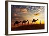 Travel Background - Two Cameleers (Camel Drivers) with Camels Silhouettes in Dunes of Desert on Sun-DR Travel Photo and Video-Framed Photographic Print