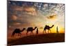 Travel Background - Two Cameleers (Camel Drivers) with Camels Silhouettes in Dunes of Desert on Sun-DR Travel Photo and Video-Mounted Photographic Print