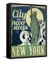 Travel New York-null-Framed Stretched Canvas