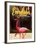 Travel Poster - Everglades-The Saturday Evening Post-Framed Giclee Print