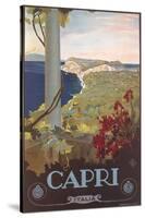 Travel Poster for Capri-null-Stretched Canvas