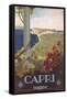 Travel Poster for Capri-null-Framed Stretched Canvas