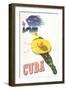 Travel Poster for Cuba-null-Framed Art Print