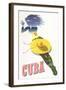 Travel Poster for Cuba-null-Framed Art Print