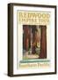 Travel Poster for the Redwood Empire-Found Image Press-Framed Giclee Print