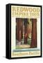 Travel Poster for the Redwood Empire-Found Image Press-Framed Stretched Canvas